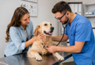 How Often Should You Take Your Pet to the Vet?