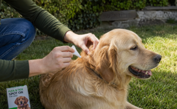 How to Protect Pets From Fleas and Ticks