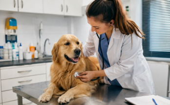 Signs Your Pet Needs to See a Veterinarian