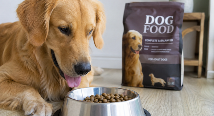 How to Choose the Right Food for Your Pet
